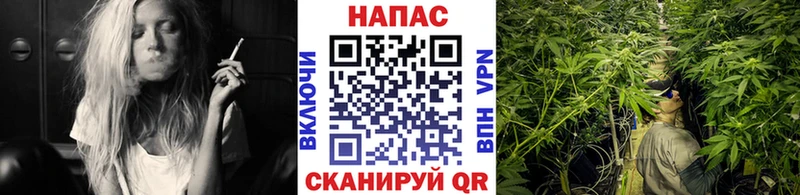 Какие есть наркотики Бердск COCAIN  Альфа ПВП  Галлюциногенные грибы  Гашиш  Конопля  МЕФ 