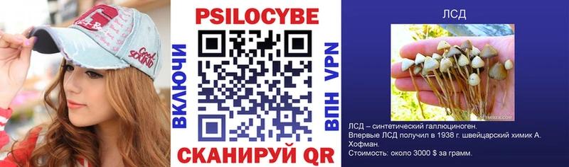 Галлюциногенные грибы Psilocybine cubensis Бердск