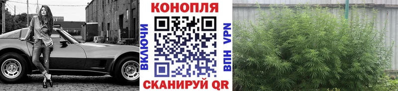 Каннабис OG Kush  купить наркотик  Бердск 